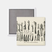 ヴィンテージのイラストレーションナイフ，はさみ，セクタール マグネット (正面/裏面)