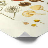 ヴィンテージのイラストレーション ポスター (角)