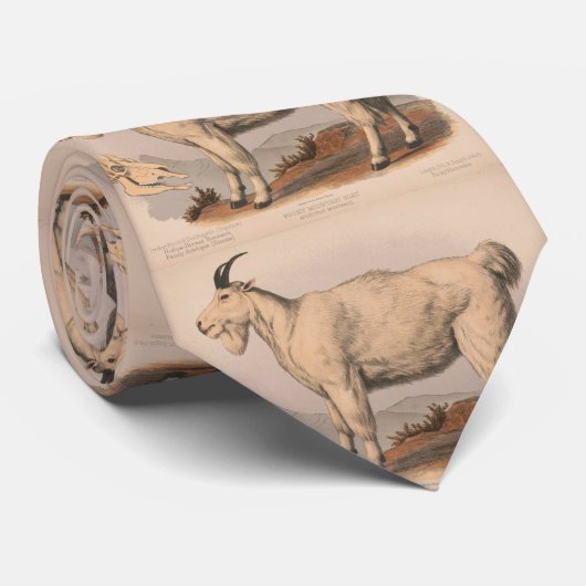 ヴィンテージのイラストレーション(1874年) ネクタイ (ロール)