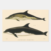 ヴィンテージのイルカ, 海獣 動物  ラッピングペーパーシート (正面3)
