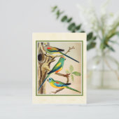 ヴィンテージのインコ ポストカード (スタンド正面)