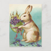 ヴィンテージのイースターのウサギの郵便はがき シーズンポストカード (正面)