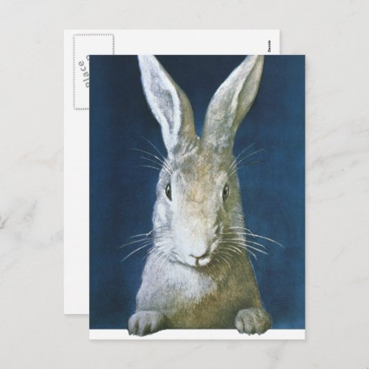 ヴィンテージのイースターのウサギ、かわいい毛皮で覆われた白いウサギ シーズンポストカード (正面/裏面)