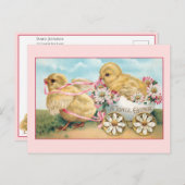 ヴィンテージのイースターチックスとデイジー ポストカード (正面/裏面)