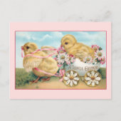 ヴィンテージのイースターチックスとデイジー ポストカード (正面)