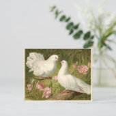 ヴィンテージのイースター白の鳩 シーズンポストカード (スタンド正面)