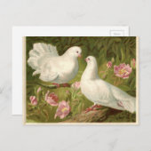 ヴィンテージのイースター白の鳩 シーズンポストカード (正面/裏面)