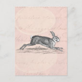 ヴィンテージのウサギのイラスト - ウサギ ポストカード (正面)