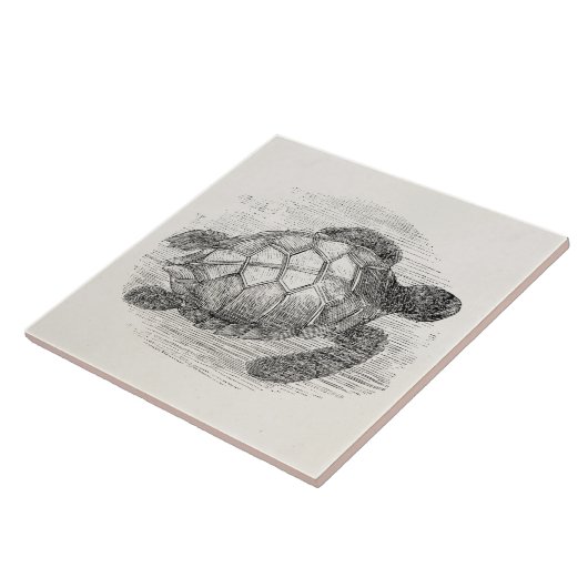 ヴィンテージのウミガメのパーソナライズなウミガメ タイル (側面)