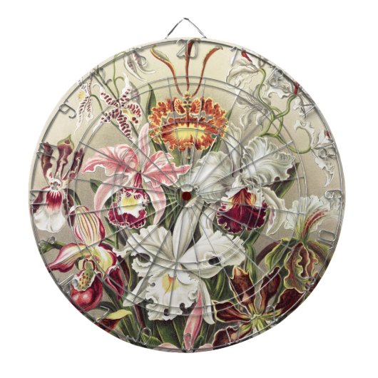 ヴィンテージのエルンスト・ヘッケル オーキッド植物画 ダーツボード (正面)