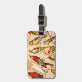 ヴィンテージのオウムのオウムのConureのインコのCockatiel ラゲッジタグ (正面縦)