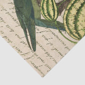 ヴィンテージのオウム 薄葉紙 (詳細)