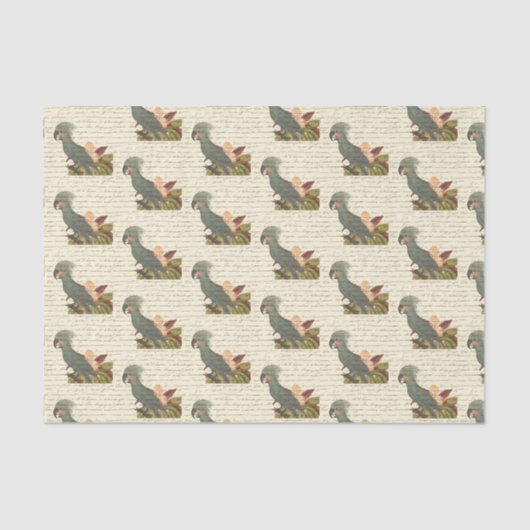 ヴィンテージのオウム 薄葉紙 (正面)