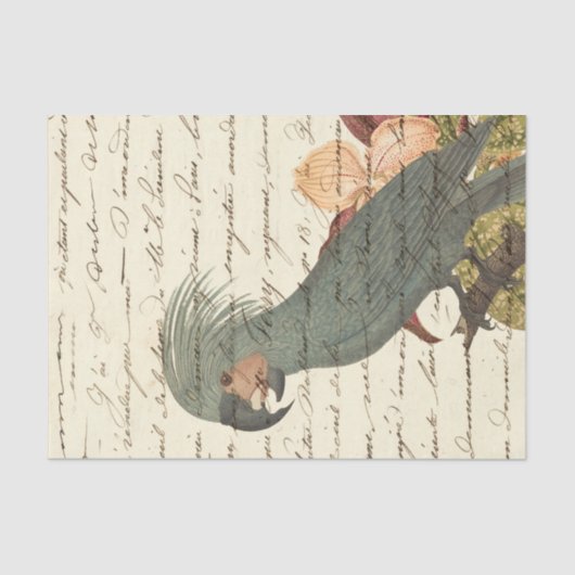 ヴィンテージのオウム 薄葉紙 (正面)