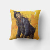 ヴィンテージのオズの魔法使いのかかし クッション (裏面)