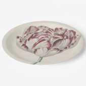 ヴィンテージのオランダの芸術: 白くおよび赤いチューリップ ペーパープレート (アングル)