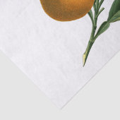 ヴィンテージのオレンジ色の果実と花の白 薄葉紙 (詳細)