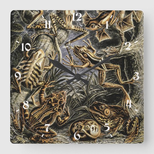 ヴィンテージのカエルとカエルbyエルンスト・ヘイケル スクエア壁時計 (正面)