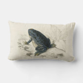 ヴィンテージのカエル ランバークッション (裏面)