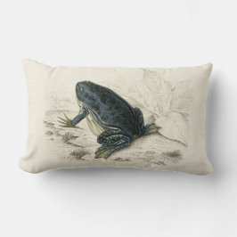 ヴィンテージのカエル ランバークッション