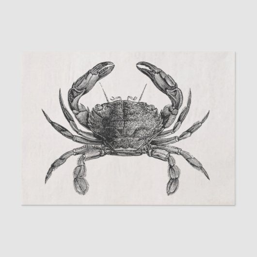ヴィンテージのカニのアンティークによってはパーソナライズなテンプレートが斜め飛行します 薄葉紙 (正面)