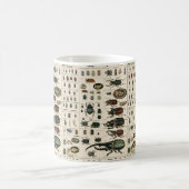 ヴィンテージのカブトムシのイラストレーション コーヒーマグカップ (中央)