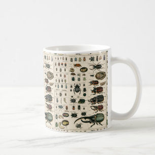 ヴィンテージのカブトムシのイラストレーション コーヒーマグカップ