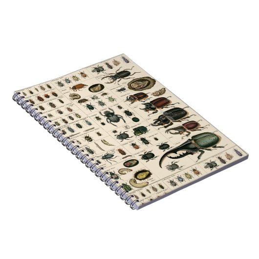 ヴィンテージのカブトムシのイラストレーション ノートブック (右側)