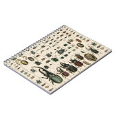 ヴィンテージのカブトムシのイラストレーション ノートブック (左側)