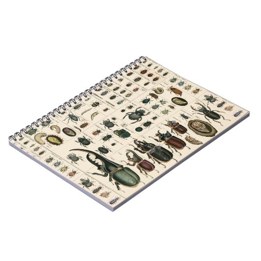 ヴィンテージのカブトムシのイラストレーション ノートブック (左側)