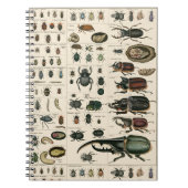 ヴィンテージのカブトムシのイラストレーション ノートブック (正面)