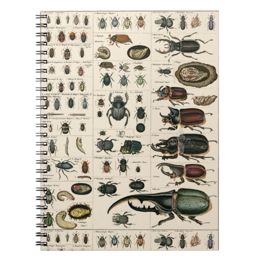 ヴィンテージのカブトムシのイラストレーション ノートブック (正面)