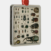 ヴィンテージのカブトムシのイラストレーション メタルオーナメント (右)