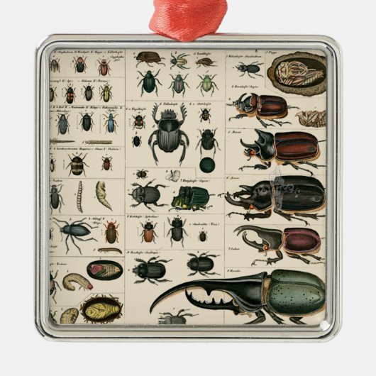 ヴィンテージのカブトムシのイラストレーション メタルオーナメント (正面)