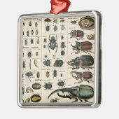 ヴィンテージのカブトムシのイラストレーション メタルオーナメント (左)