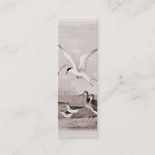 ヴィンテージのカモメによってカスタマイズレトロのカモメのテンプレート スキニー名刺 (正面)