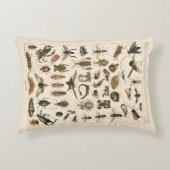 ヴィンテージのカラフルな昆虫の昆虫学の分類学 アクセントクッション (正面)