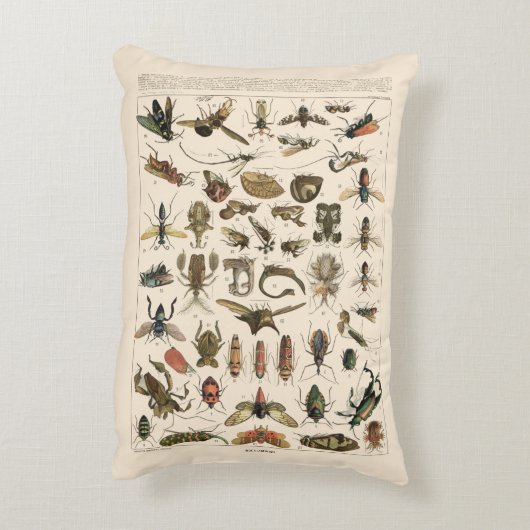 ヴィンテージのカラフルな昆虫の昆虫学の分類学 アクセントクッション (裏面(縦))