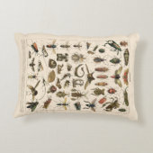 ヴィンテージのカラフルな昆虫の昆虫学の分類学 アクセントクッション (裏面)