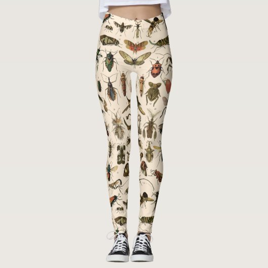 ヴィンテージのカラフルな昆虫の昆虫学の分類学 レギンス (正面)