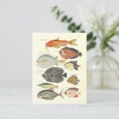 ヴィンテージのカラフルイラストレーション ポストカード (スタンド正面)