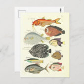 ヴィンテージのカラフルイラストレーション ポストカード (正面/裏面)