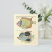 ヴィンテージのカラフルイラストレーション ポストカード (スタンド正面)