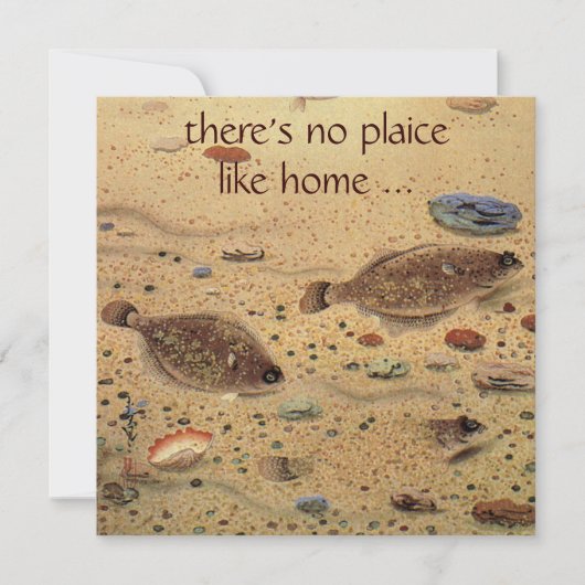 ヴィンテージのカレイの平魚、面白い新築パーティー 招待状 (正面)