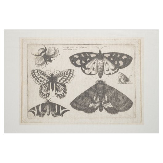 ヴィンテージのガの蝶蜂の昆虫のタペストリー(65) ファブリック (ファットクォーター)