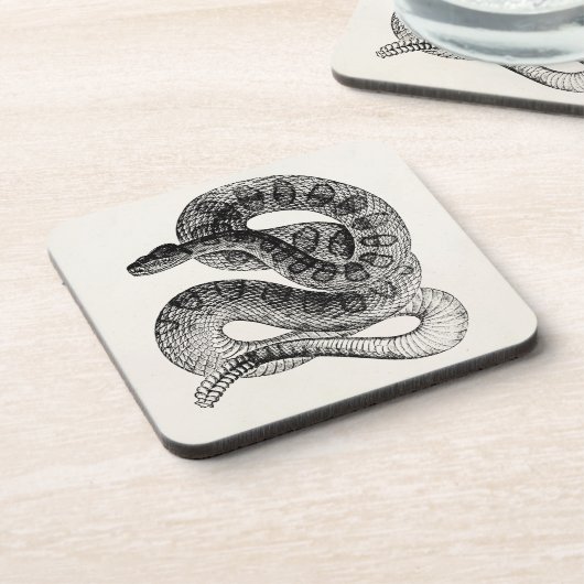 ヴィンテージのガラガラヘビのハ虫類のヘビのテンプレート コースター (左側)