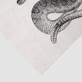 ヴィンテージのガラガラヘビのハ虫類のヘビのテンプレート 薄葉紙 (詳細)