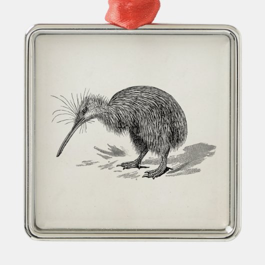 ヴィンテージのキーウィの鳥の旧式な鳥のテンプレート メタルオーナメント (正面)