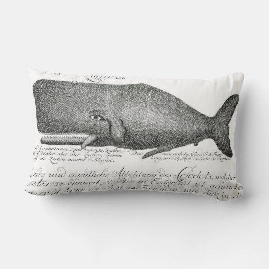 ヴィンテージのクジラのイラストレーション、航海のな装飾用クッション ランバークッション (裏面)