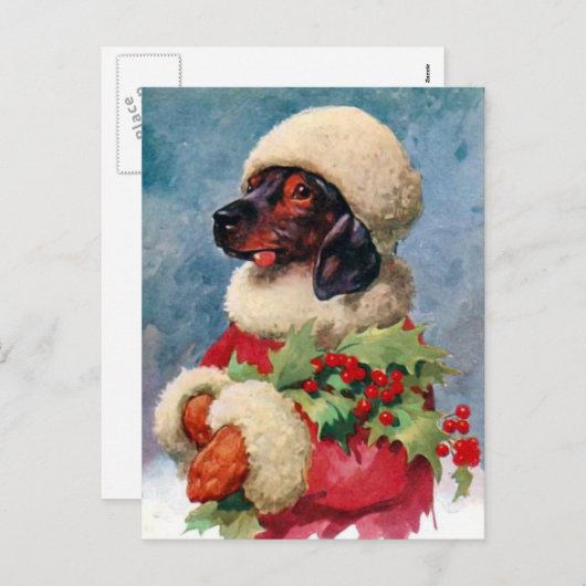 ヴィンテージのクリスマスのヒイラギのダックスフントの郵便はがき シーズンポストカード (正面/裏面)